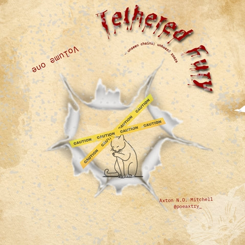 Tethered Fury E-Zine